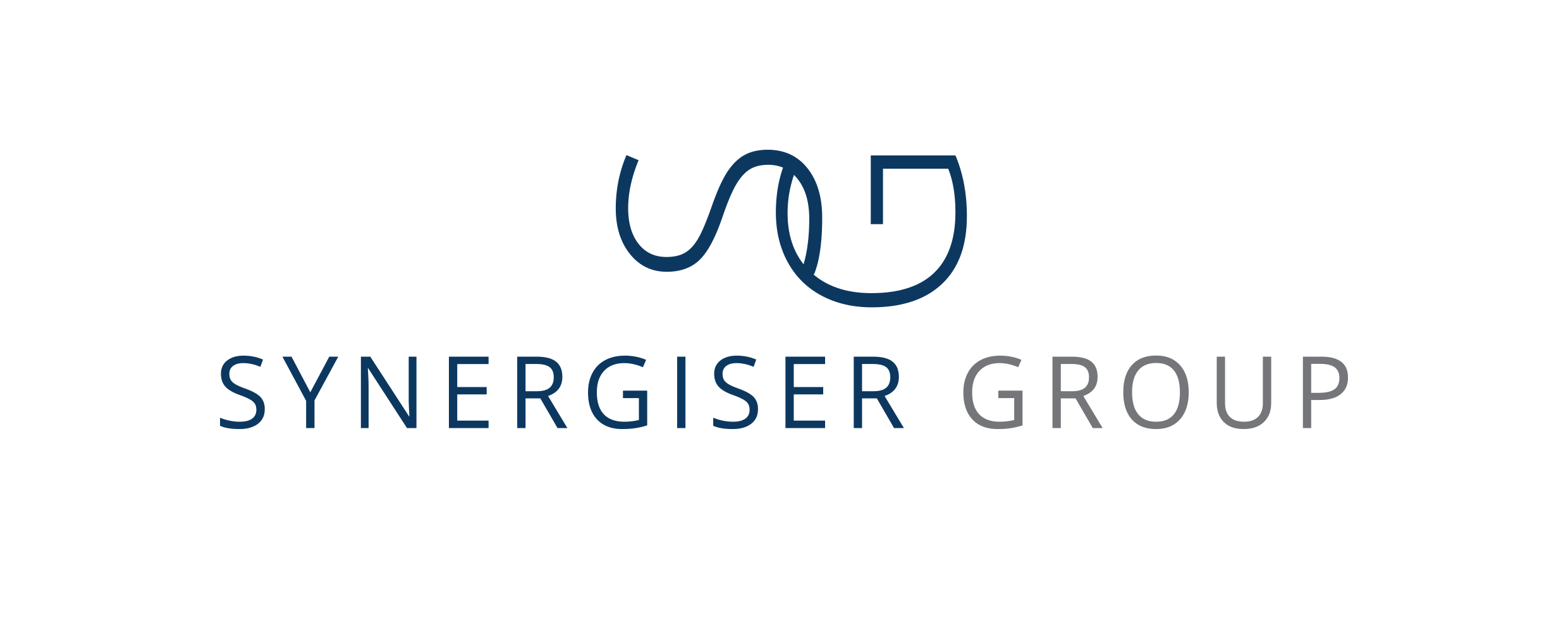 SYNERGISER GROUP LOGO