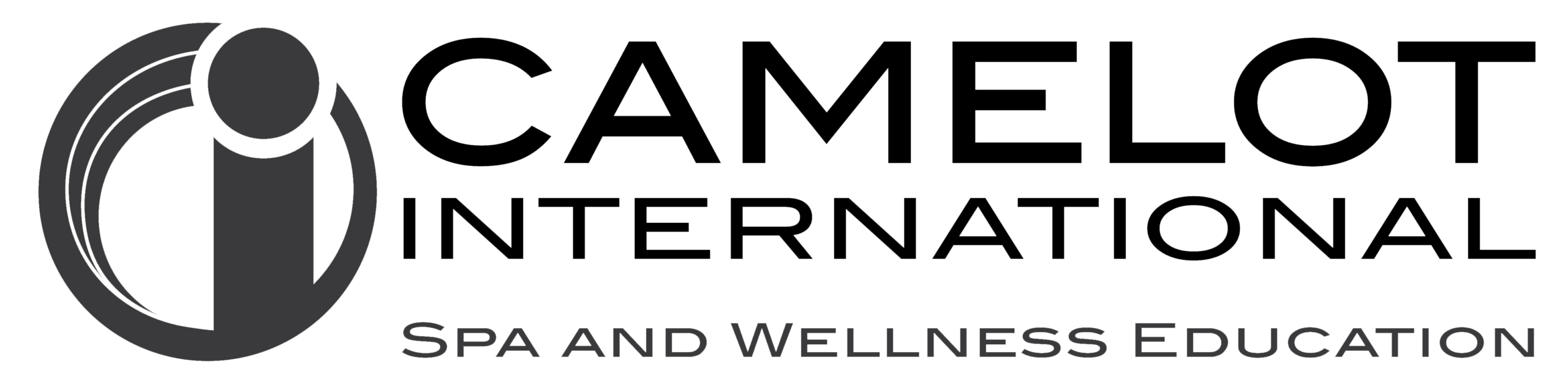 Camelot International Logo