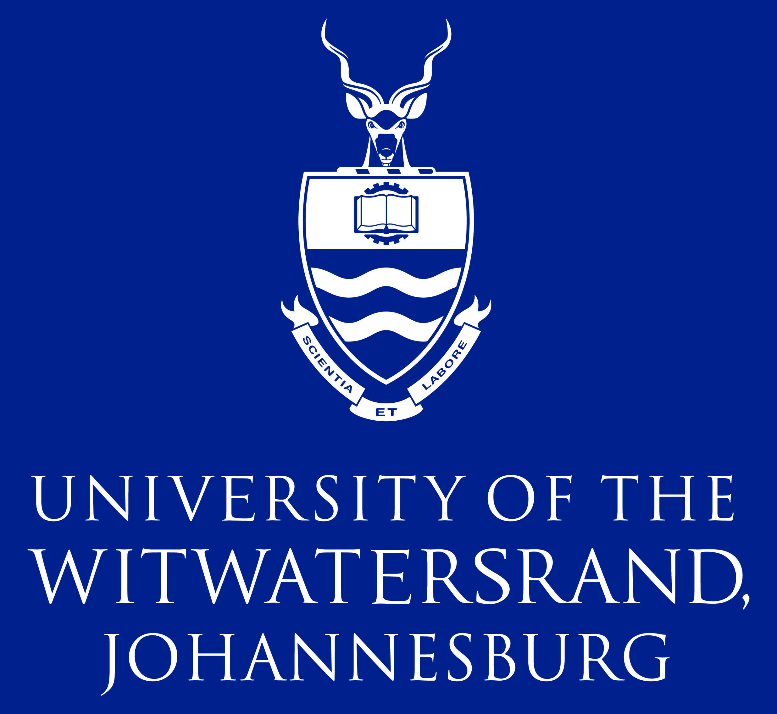 WITS LOGO